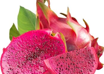 Dragon Fruit Health Benefits : డ్రాగన్ ఫ్రూట్ తింటున్నారా.. అయితే ఇది మీకోసమే… 