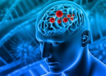 The Importance of the Brain : మెదడు పనితీరును మెరుగుపరిచే ఆహారాలు ఇవే..