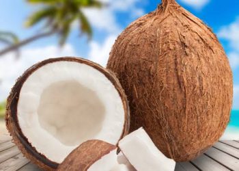 Raw Coconut : పచ్చికొబ్బరి తినడం వల్ల ఎన్ని ఆరోగ్య ప్రయోజనాలో.. తెలిస్తే అసలు వదలరు..
