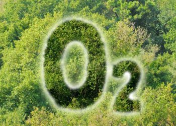 Oxygen-28 : సైంటిస్టుల మరో చరిత్ర.. ఆక్సిజన్ కి కొత్త రూపం.. దాని పేరు ఏమిటంటే..