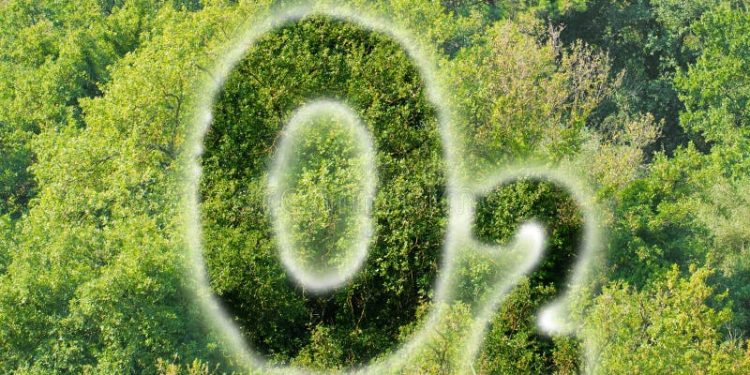 Oxygen-28 : సైంటిస్టుల మరో చరిత్ర.. ఆక్సిజన్ కి కొత్త రూపం.. దాని పేరు ఏమిటంటే..