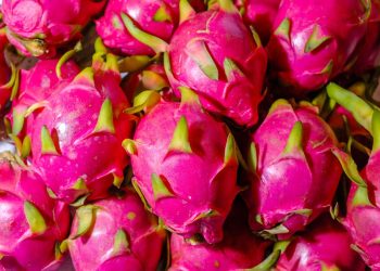 How to Eat Dragon Fruit : డ్రాగన్ ఫ్రూట్ ఎలా తినాలో తెలుసా.. ఇలా మాత్రం అస్సలు తినొద్దు..