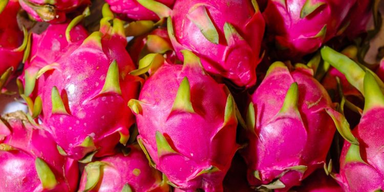 How to Eat Dragon Fruit : డ్రాగన్ ఫ్రూట్ ఎలా తినాలో తెలుసా.. ఇలా మాత్రం అస్సలు తినొద్దు..