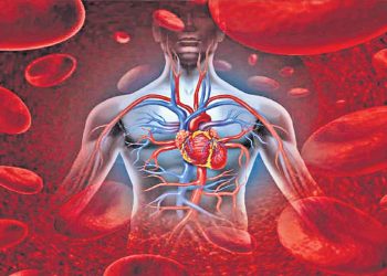 7 Foods That Purify Blood : రక్తాన్ని శుద్ధి చేసే ఏడురకాల ఆహారాలు ఇవే..