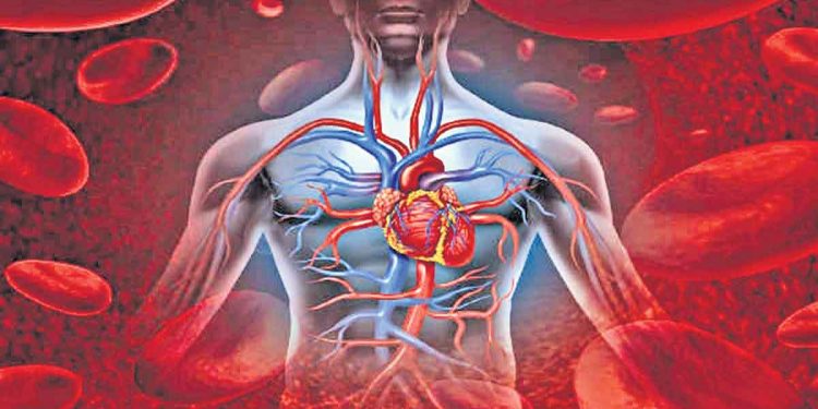 7 Foods That Purify Blood : రక్తాన్ని శుద్ధి చేసే ఏడురకాల ఆహారాలు ఇవే..