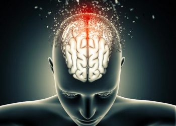 Brain Boosting Food : మీ మెదడు మెరుగ్గా పని చేయాలంటే ఈ ఆహారాలను ఖచ్చితంగా తినండి..