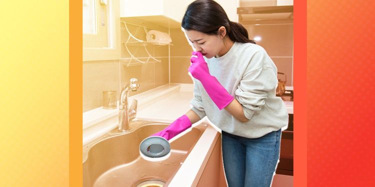 Tips to Get Rid of Bad Smell at Home : ఇంట్లో చెడు వాసన పోగొట్టే టిప్స్.. ఇల్లు మొత్తం సుగంధ పరిమళమే..