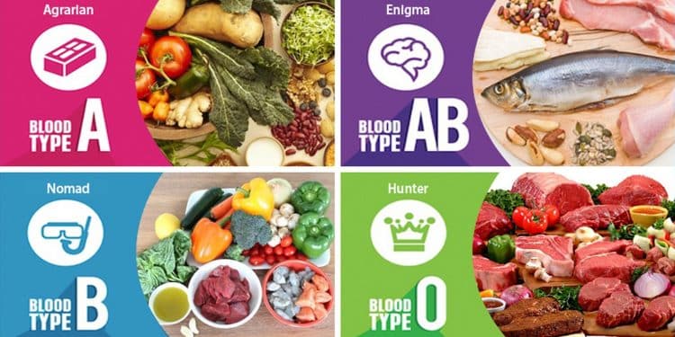 Diet According to Blood Group : ఏ బ్లెడ్ గ్రూప్ ని బట్టి ఏ ఆహారం తీసుకోవాలో మీకు తెలుసా..?