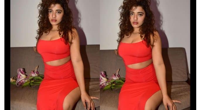 Ketika Sharma:పిక్ టాక్ : వాలంటైన్స్ డే రోజు గ్లామర్ బాంబులా బ్రో హీరోయిన్ 