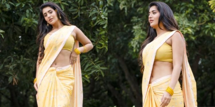 Rashi Singh: పసుపు చీరలో రాశీ సింగ్ లేలేత పరువాలు.. కొత్త ఫోటోషూట్‌తో గ్లామర్ షో