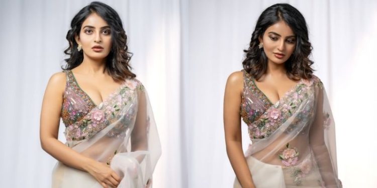 Ananya Nagalla: వావ్ వాట్ ఏ బ్యూటీ.. బంగారు హుండీని చిల్లరకు వాడుతున్నారేంట్రా