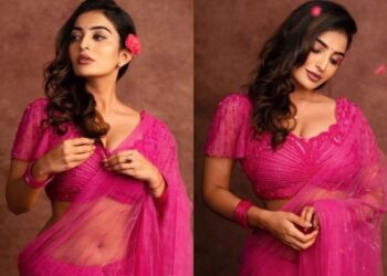 Ananya Nagalla: గులాబీ రంగు చీరలో అనన్య నాగళ్ల గుబాళింపులు.. ఒక్కసారి చూశారంటే?