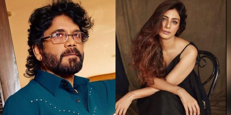 Nagarjuna Tabu: నాగార్జున-టబు కాంబోలో మూవీ.. దశాబ్దాల తర్వాత కలిసిన క్రేజీ జోడీ