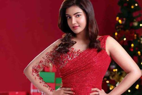 Veerasimha Reddy Heroine
